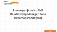 Lowongan Jabatan SME Relationship Manager Bank Danamon Pandeglang