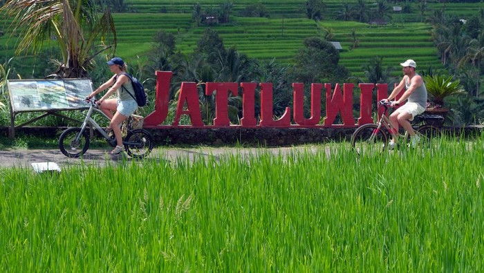 Petualangan_Bersepeda_Pesona_Sawah_Hijau_Jatiluwih_Bali