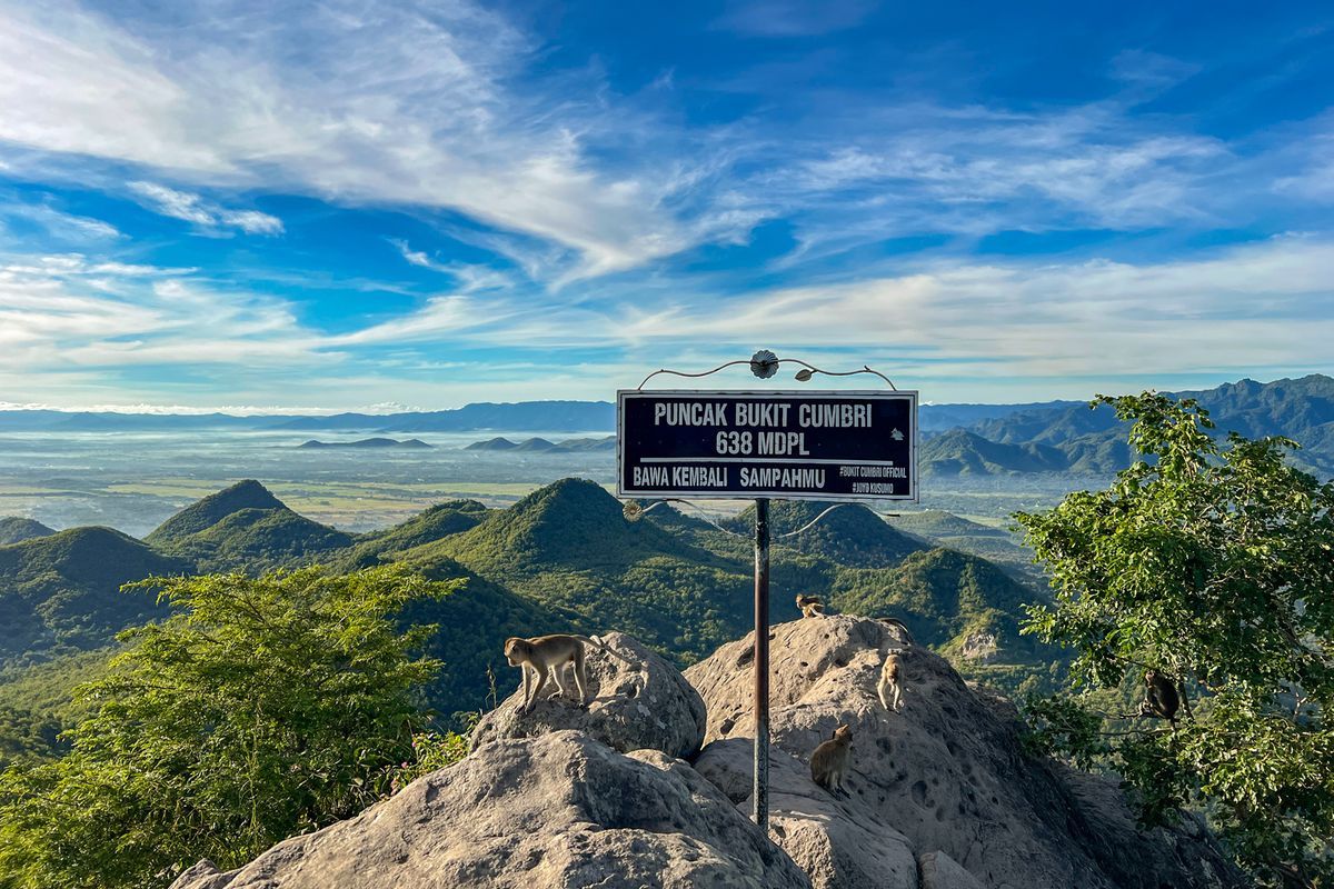 Petualangan Menantang: Pendakian Bukit Cumbri, Wonogiri-Ponorogo Petualangan Menantang: Pendakian Bukit Cumbri, Wonogiri-Ponorogo