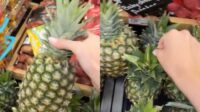 Rahasia_Pilih_Nanas_Super_Matang_Cuma_Lihat_Mahkotanya
