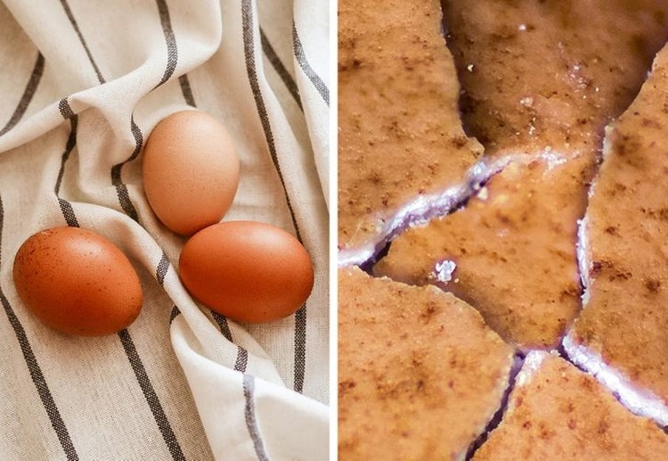 Rahasia_Terungkap_Dunia_Mikroskopis_Benda_Sehari-hari_yang_Menakjubkan