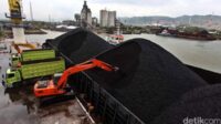 Harga Batu Bara Mei 2025: Update Acuan Terkini Harga Batu Bara Mei 2025: Update Acuan Terkini