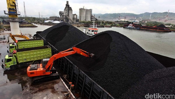 Harga Batu Bara Mei 2025: Update Acuan Terkini Harga Batu Bara Mei 2025: Update Acuan Terkini