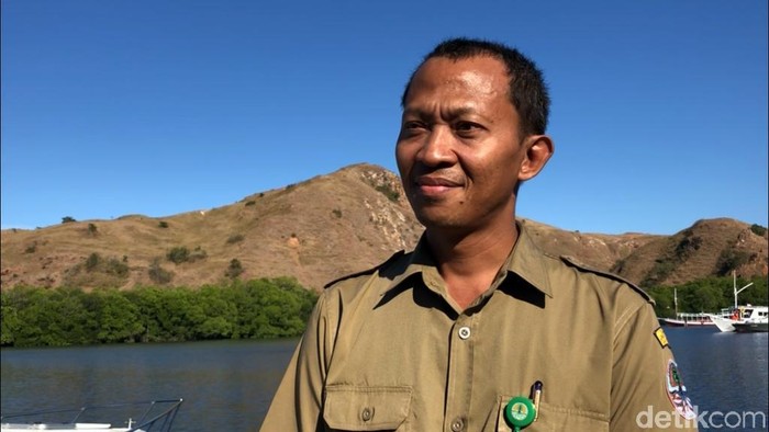 Satwa Liar Indonesia Diselundup, Jadi Suvenir AS? Kemenhut Usut Tuntas